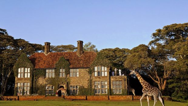 Giraffe-Manor1
